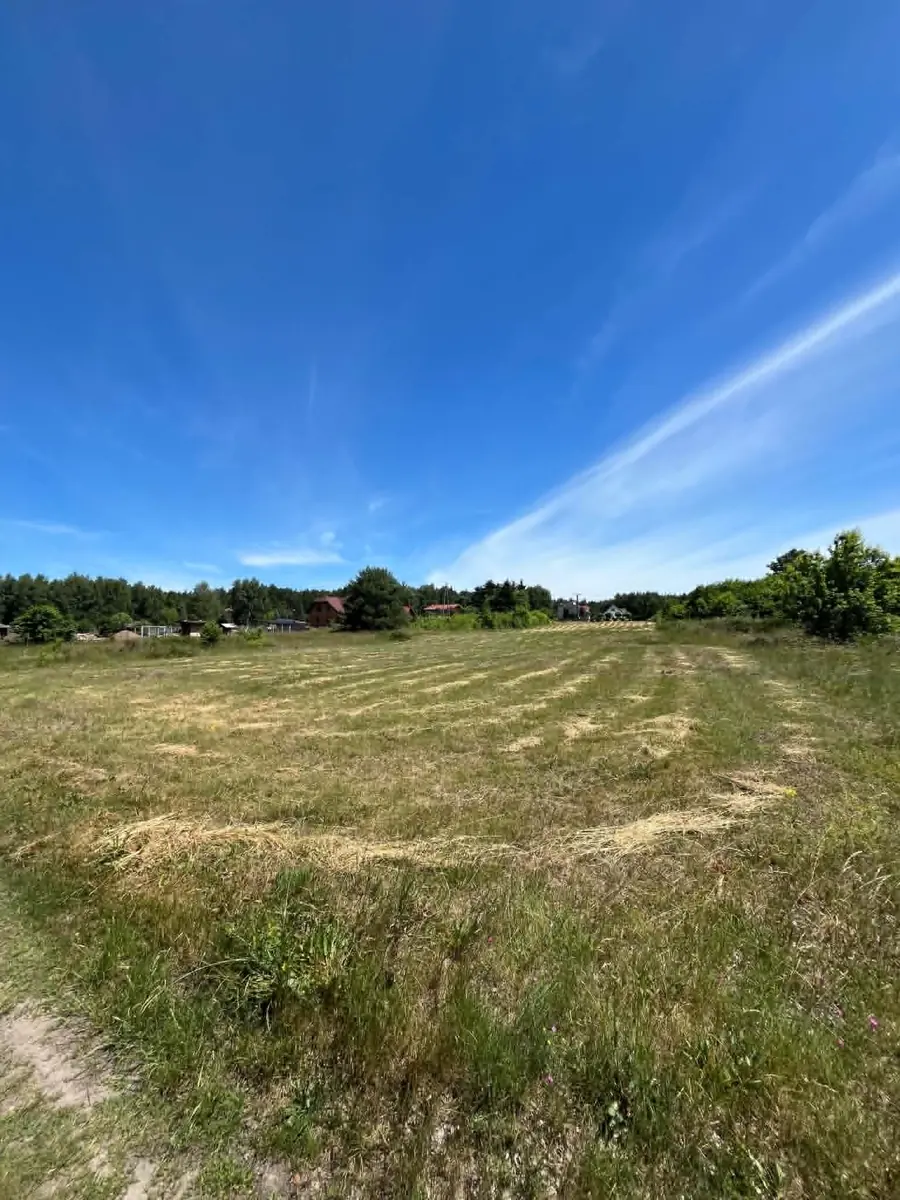 Działka 185/45 w Oleśniku — rozległa skoszona łąka
